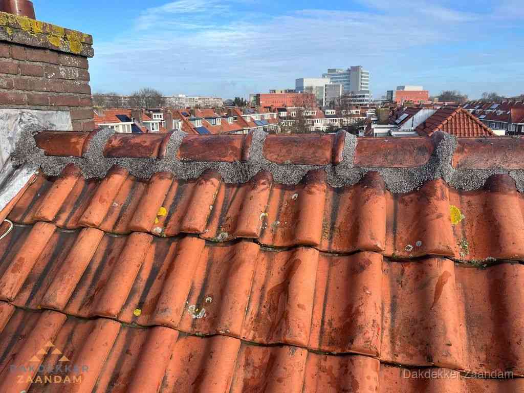 Zaandam Daken Renoveren Zaandam Daken Renoveren